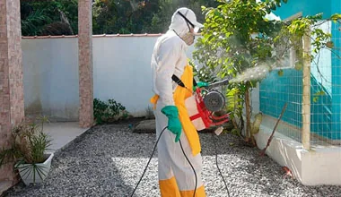 Termonebulização em quintal